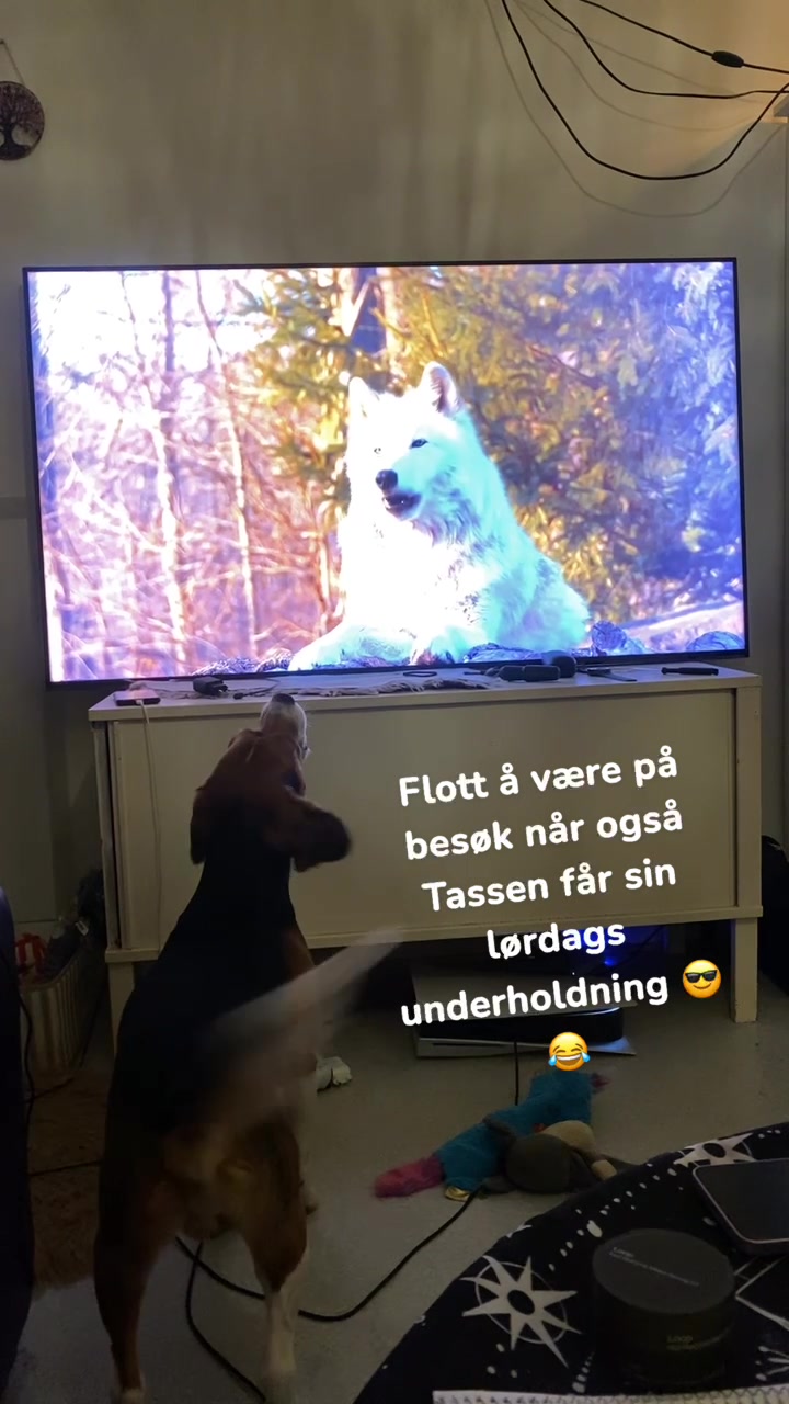 @Morten Kvam
