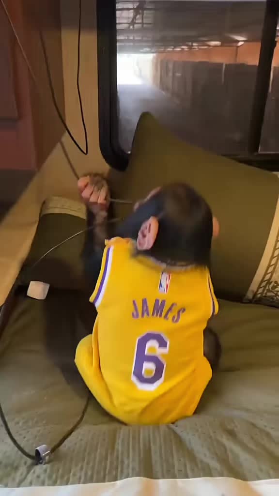 @benjamin