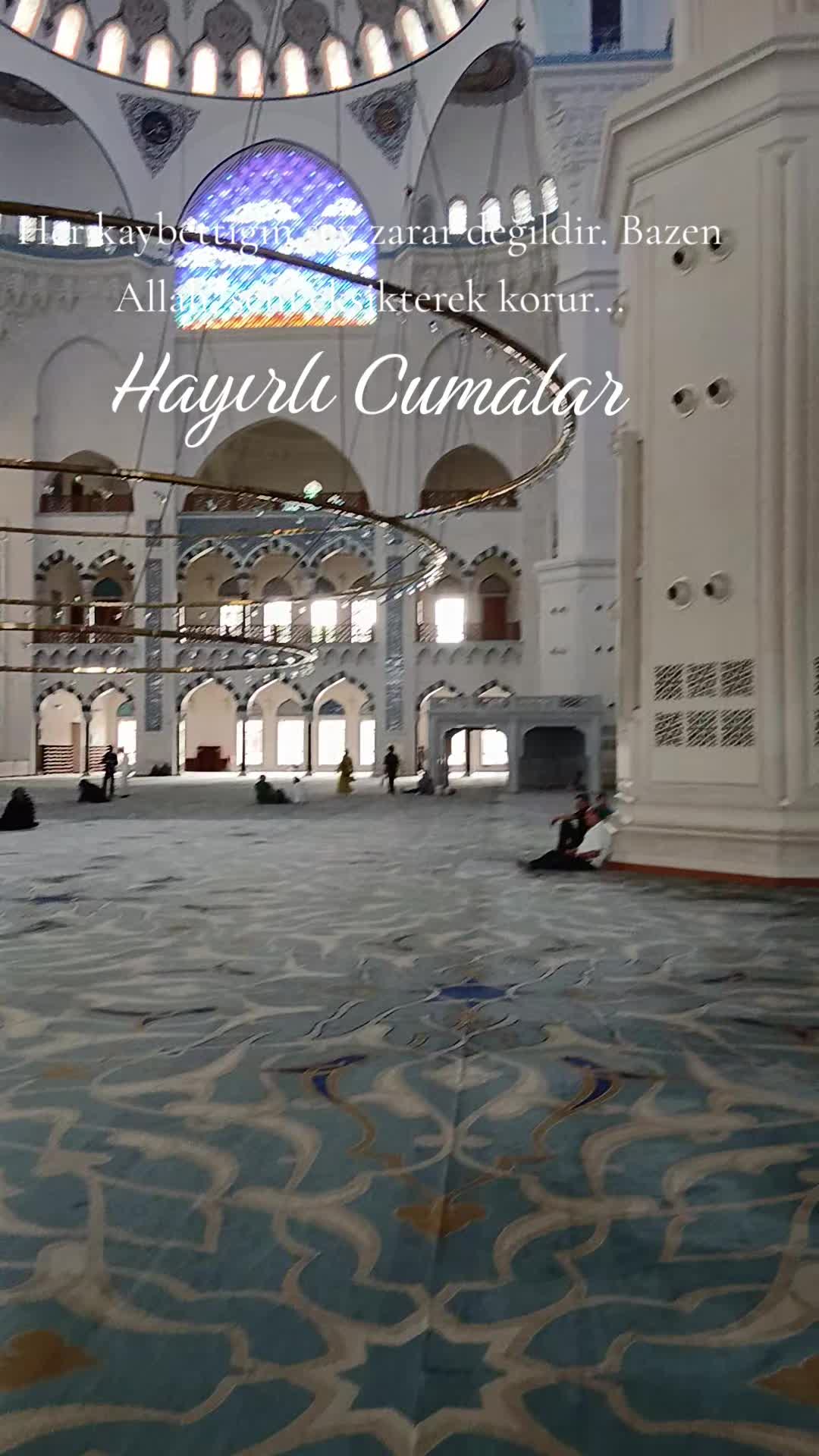 @🇹🇷͜͜͡͡✯𝘼𝙡𝙞 4️⃣6️⃣