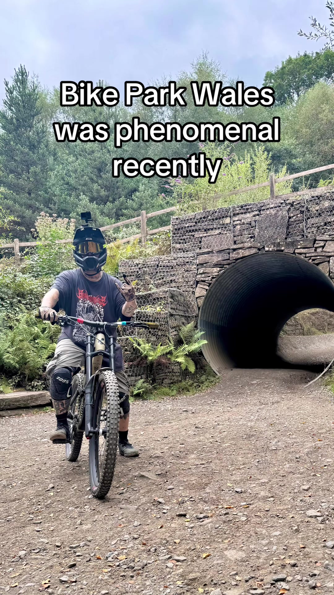 @The_Don