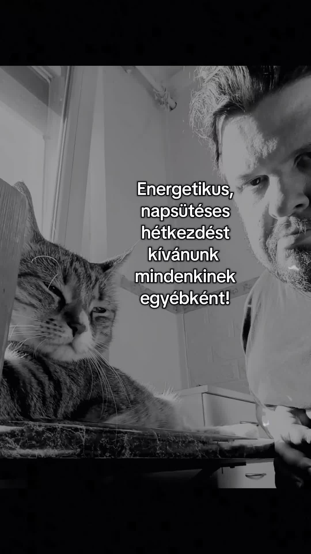 @Ezerarcú🎤📢🎭😺