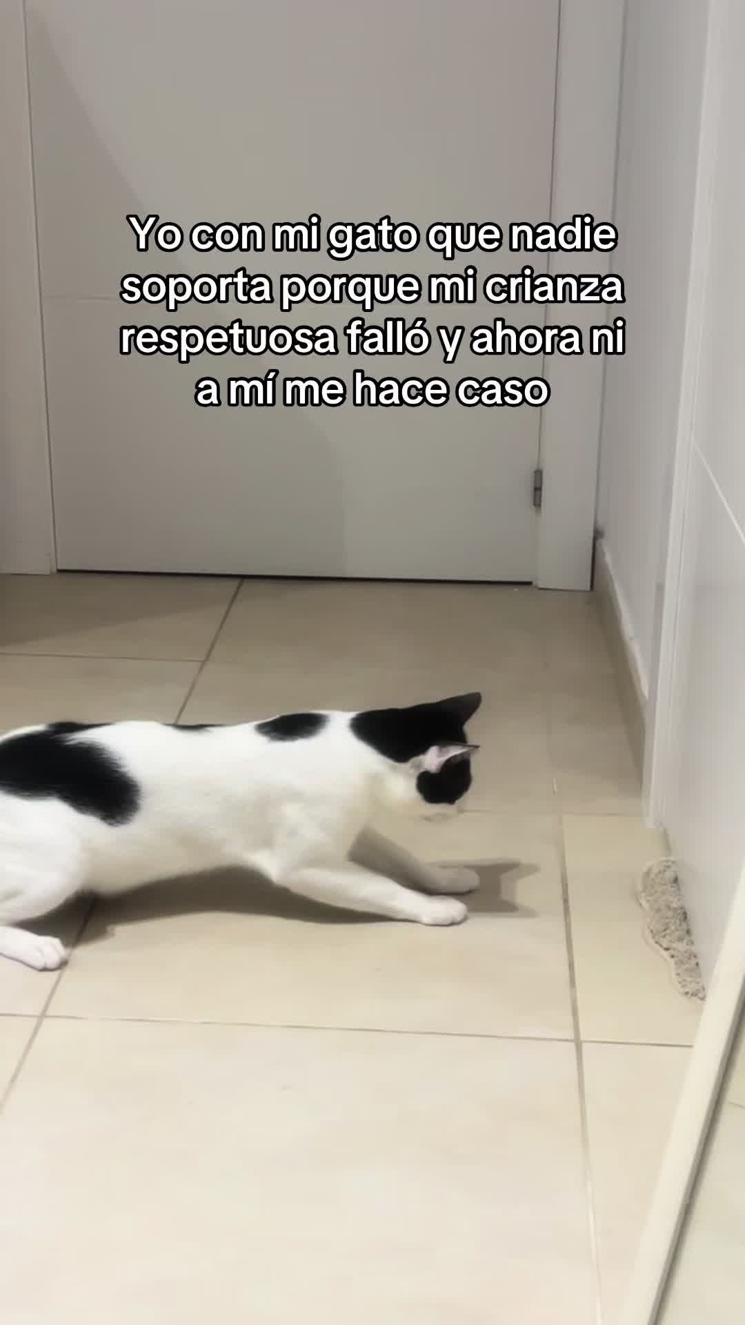 @Mabe🦦