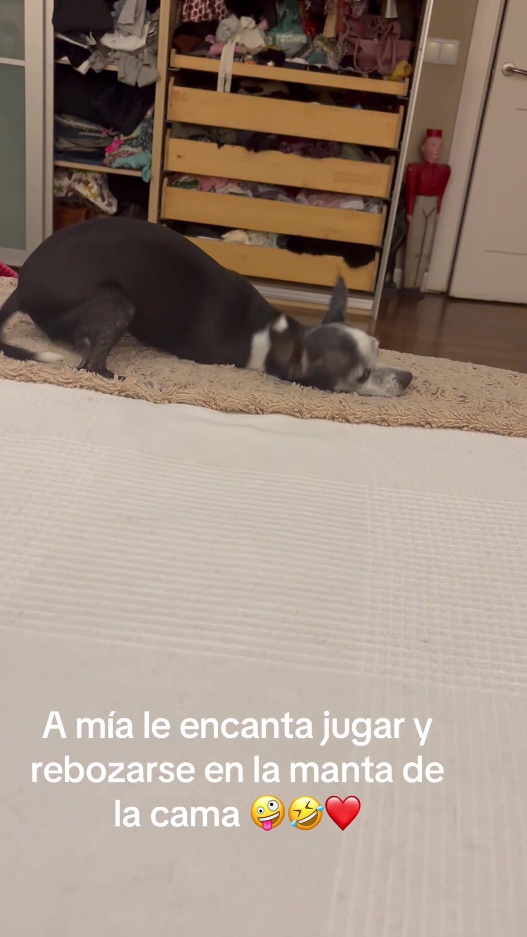 @patushiiiii