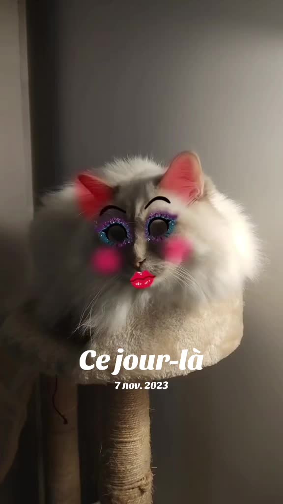 @Paris.est.magik