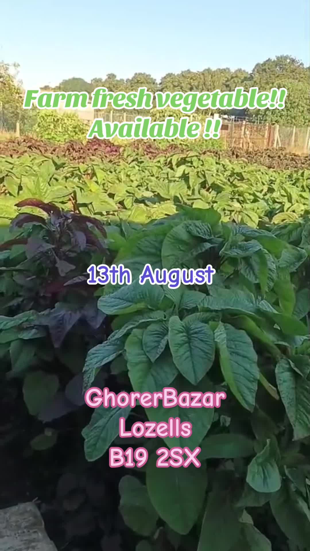 @GhorerBazar Lozells