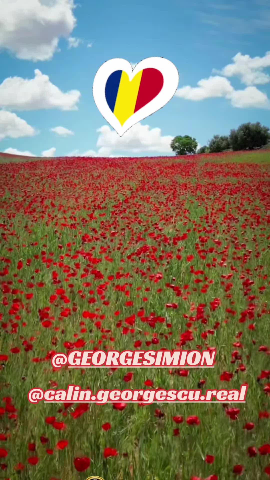 @GS🇹🇩BELLA🇹🇩CG
