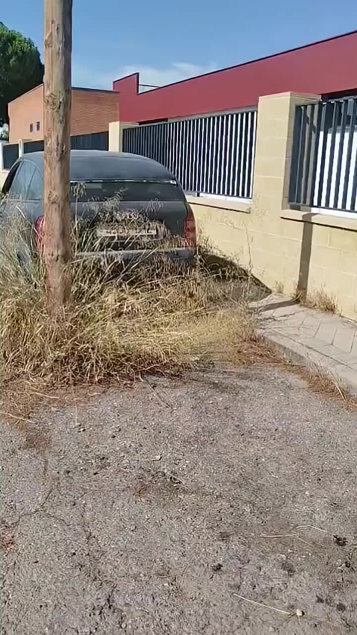 @sargentosentencia