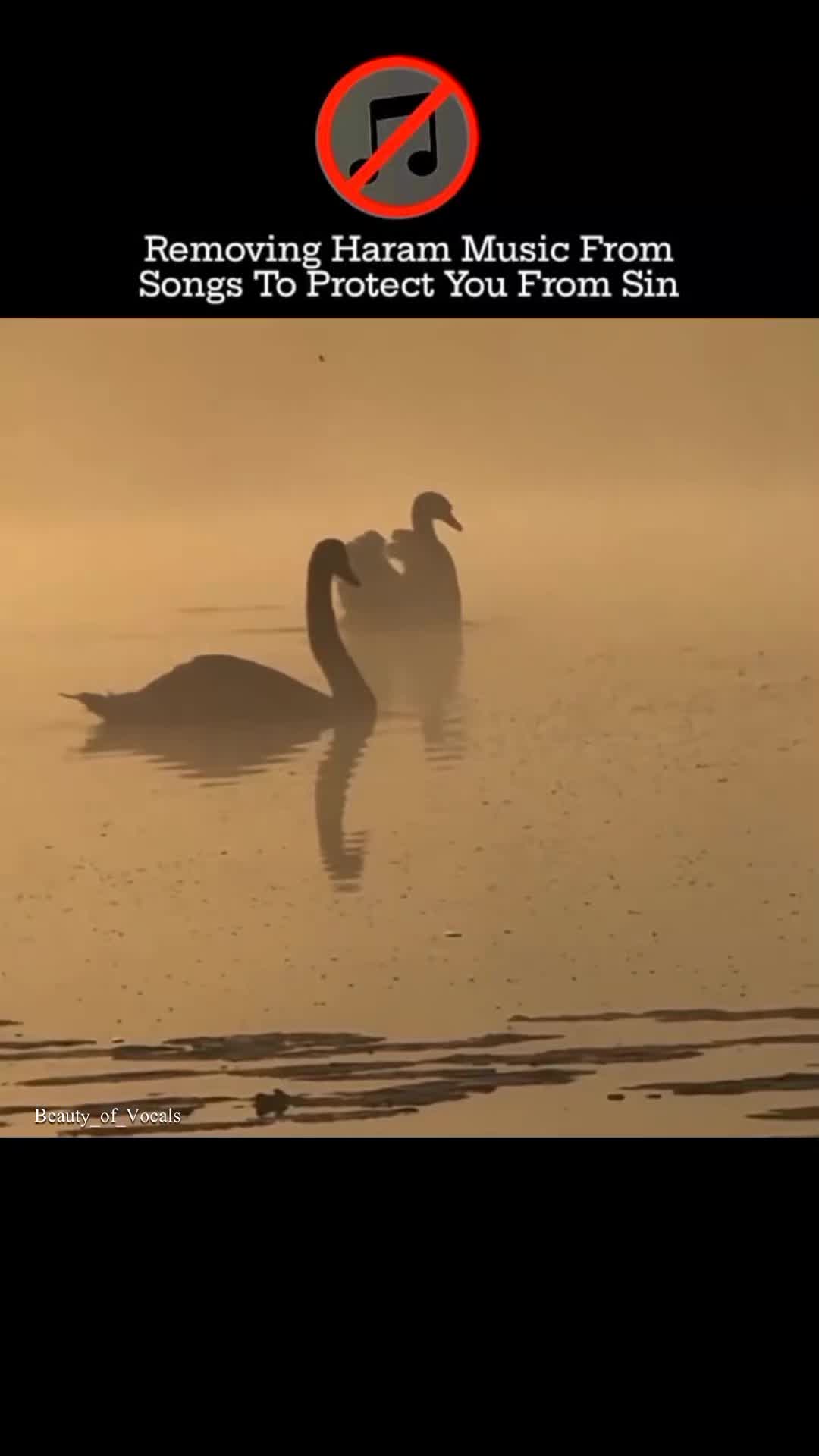 @𝐁𝐞𝐚𝐮𝐭𝐲_𝐨𝐟_𝐕𝐨𝐜𝐚𝐥𝐬