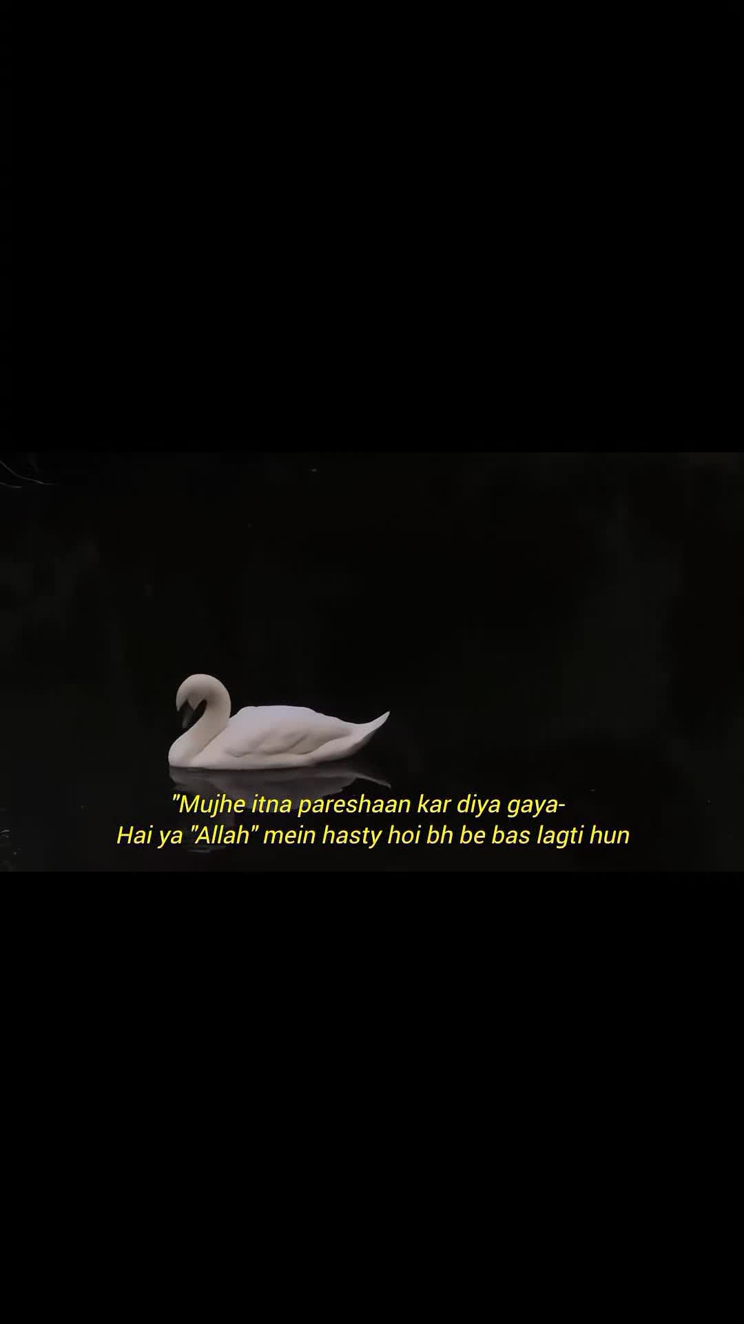 @𝓜𝓲𝓷𝓪𝓵 𝓹𝓸𝓮𝓽𝓻𝔂🫀