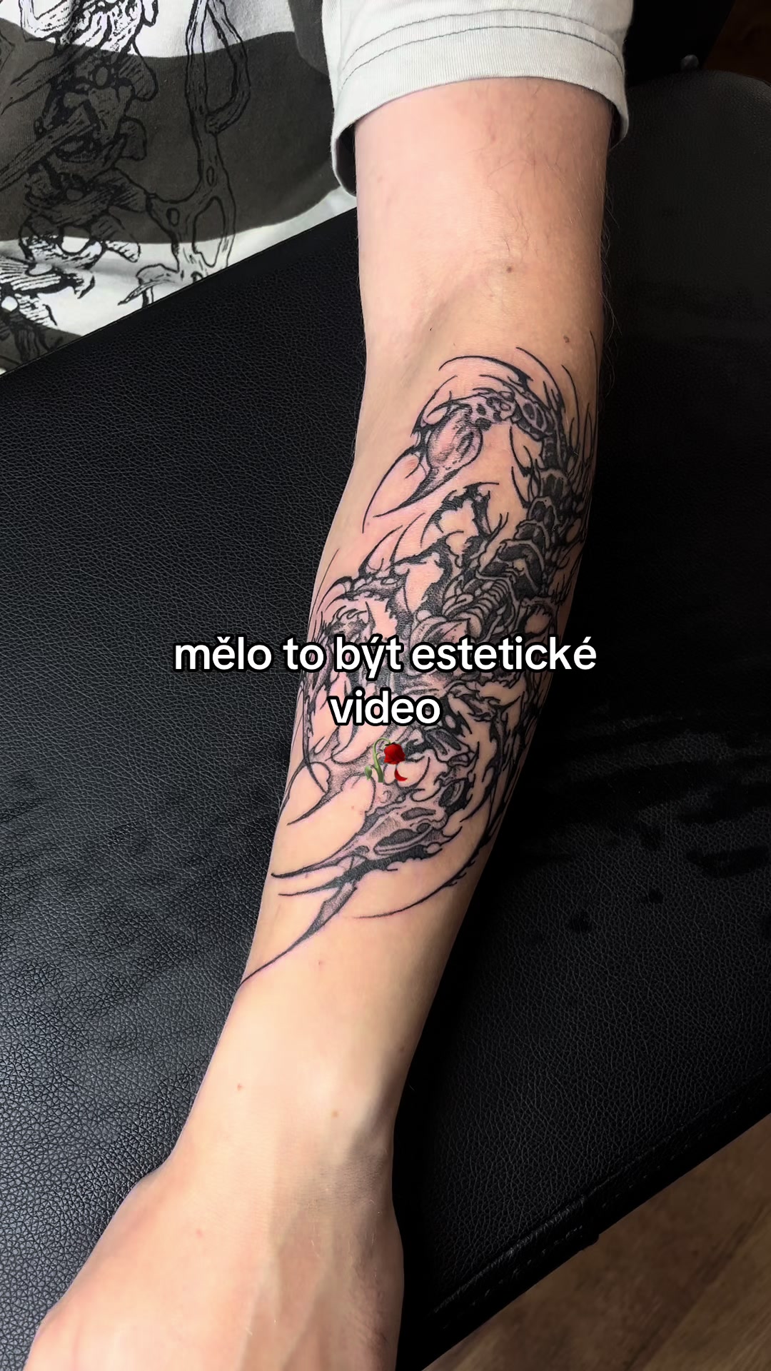 @Lucye ✨