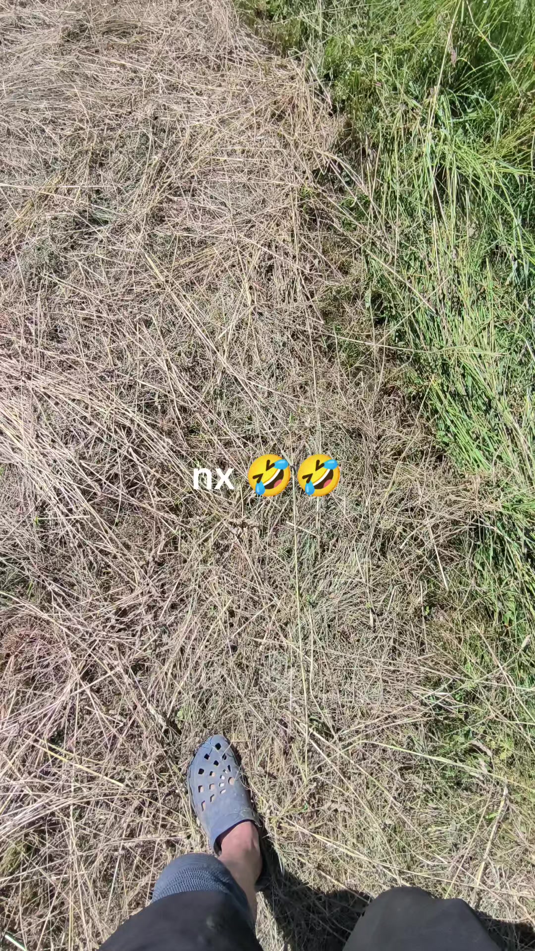 @👻🦊 Lapino &Scaron;mėkla 🦊👻