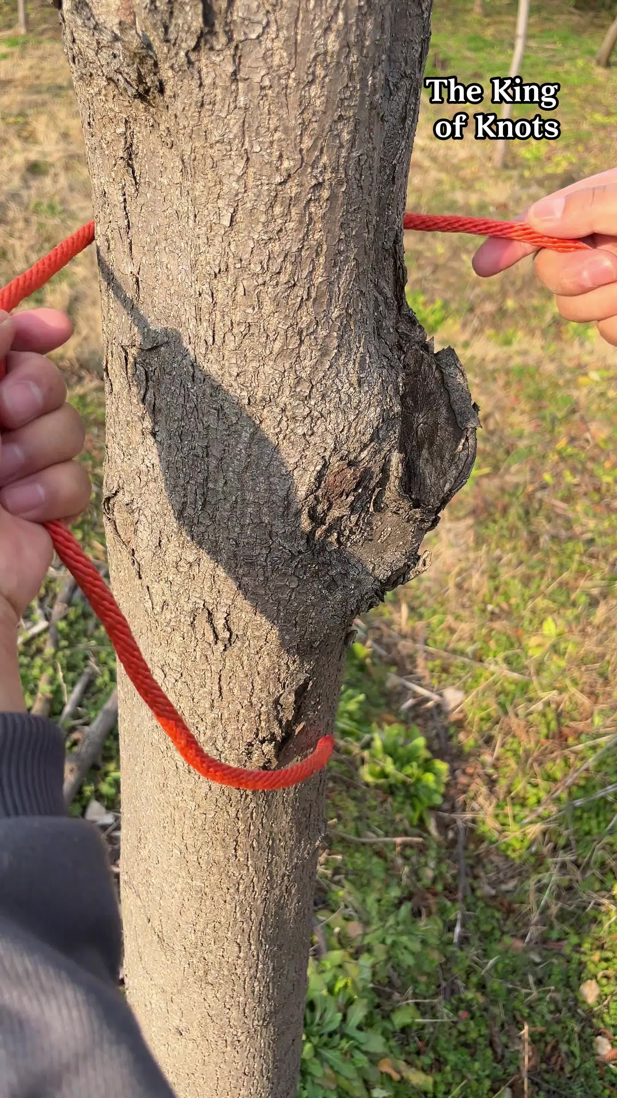 @Knots_Master