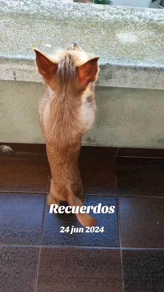@Paqui Romero 🇪🇦