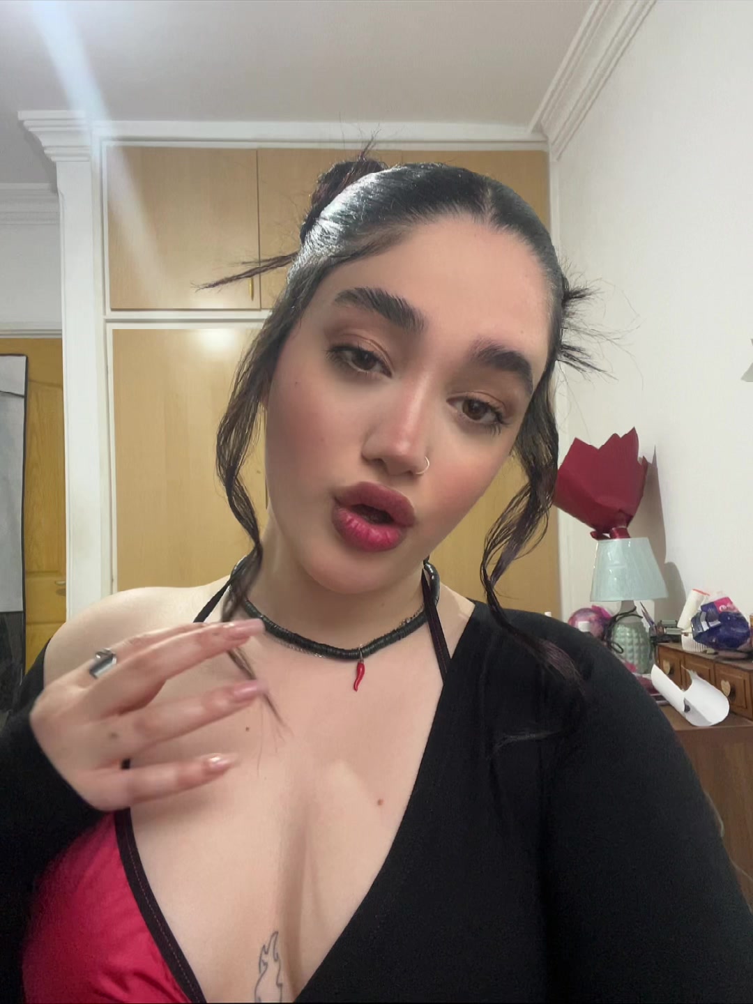 @aylleannn