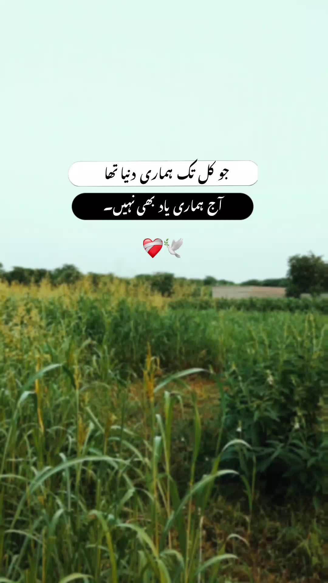 @🖤☬ ٹوٹا دِل ☬🖤