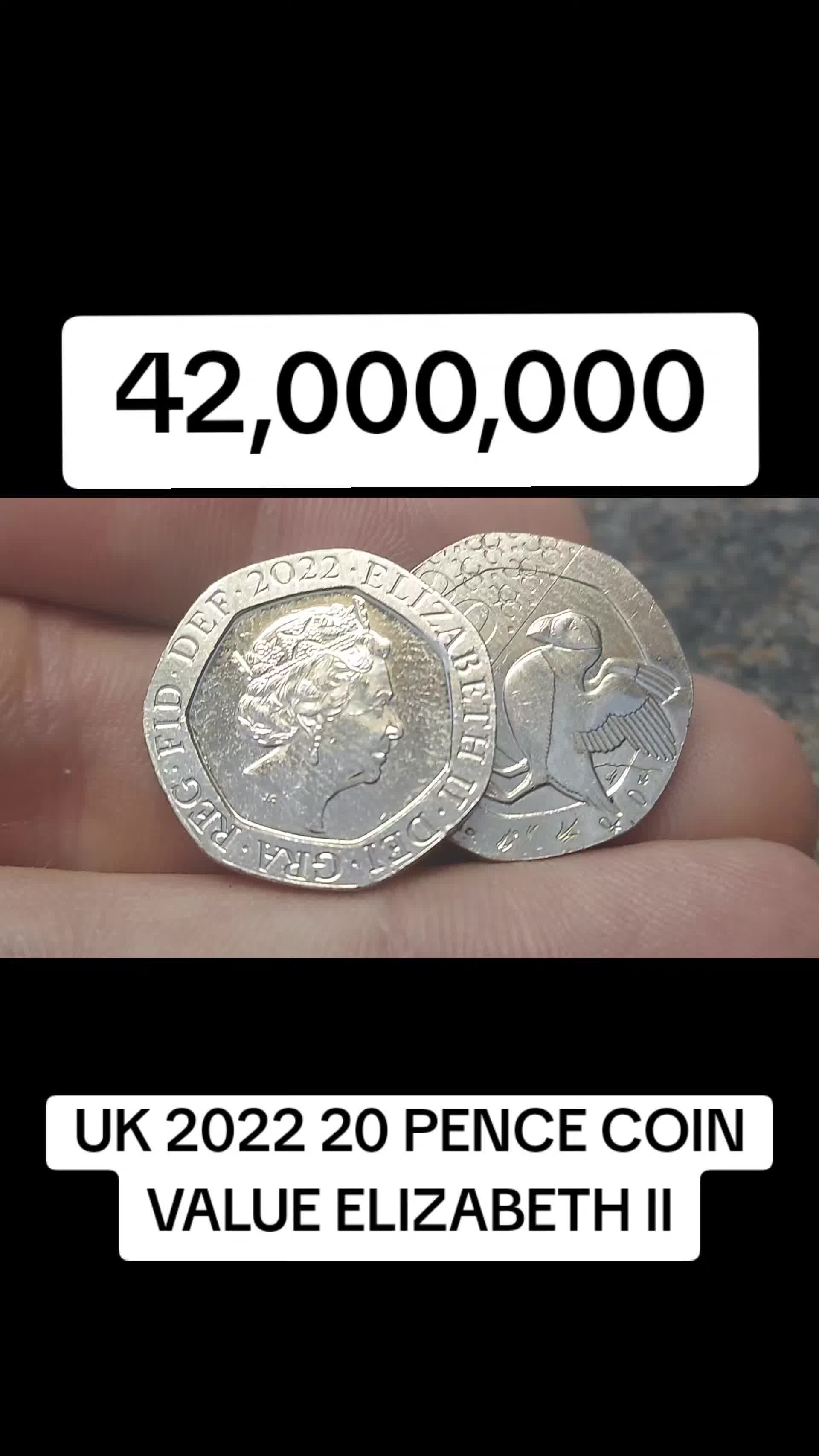 @DANS DOLLARS