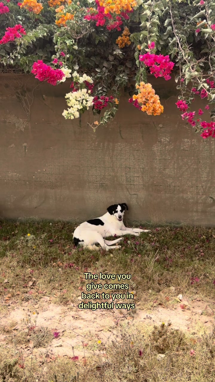 @Mima Daisy