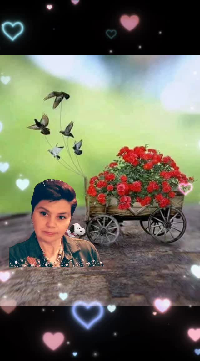 @Mihaela Aanei