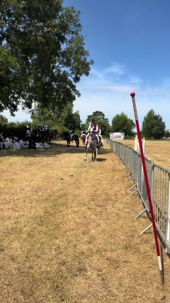 @Slough horses