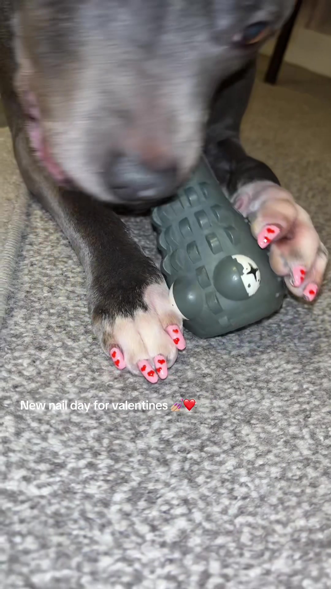 @Chelseaaaa