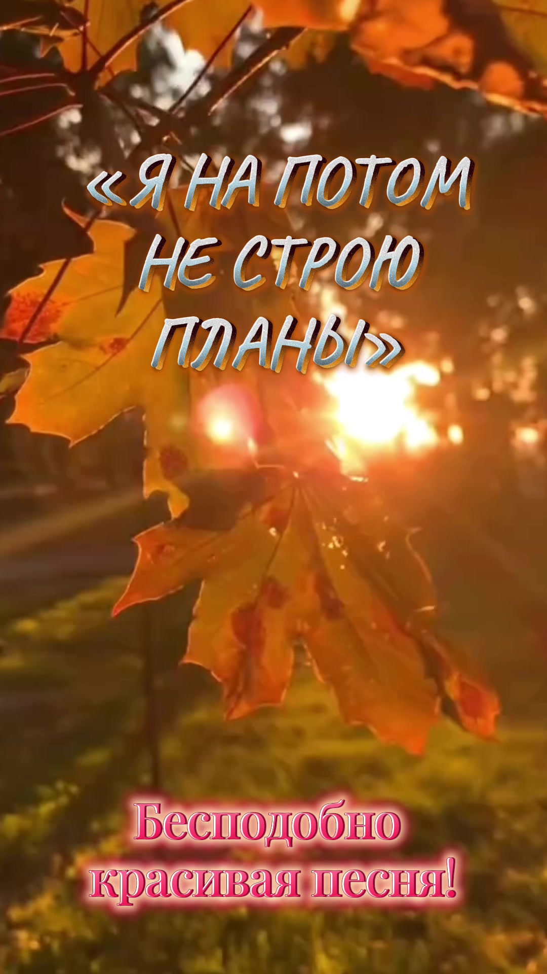 @✨Елена✨