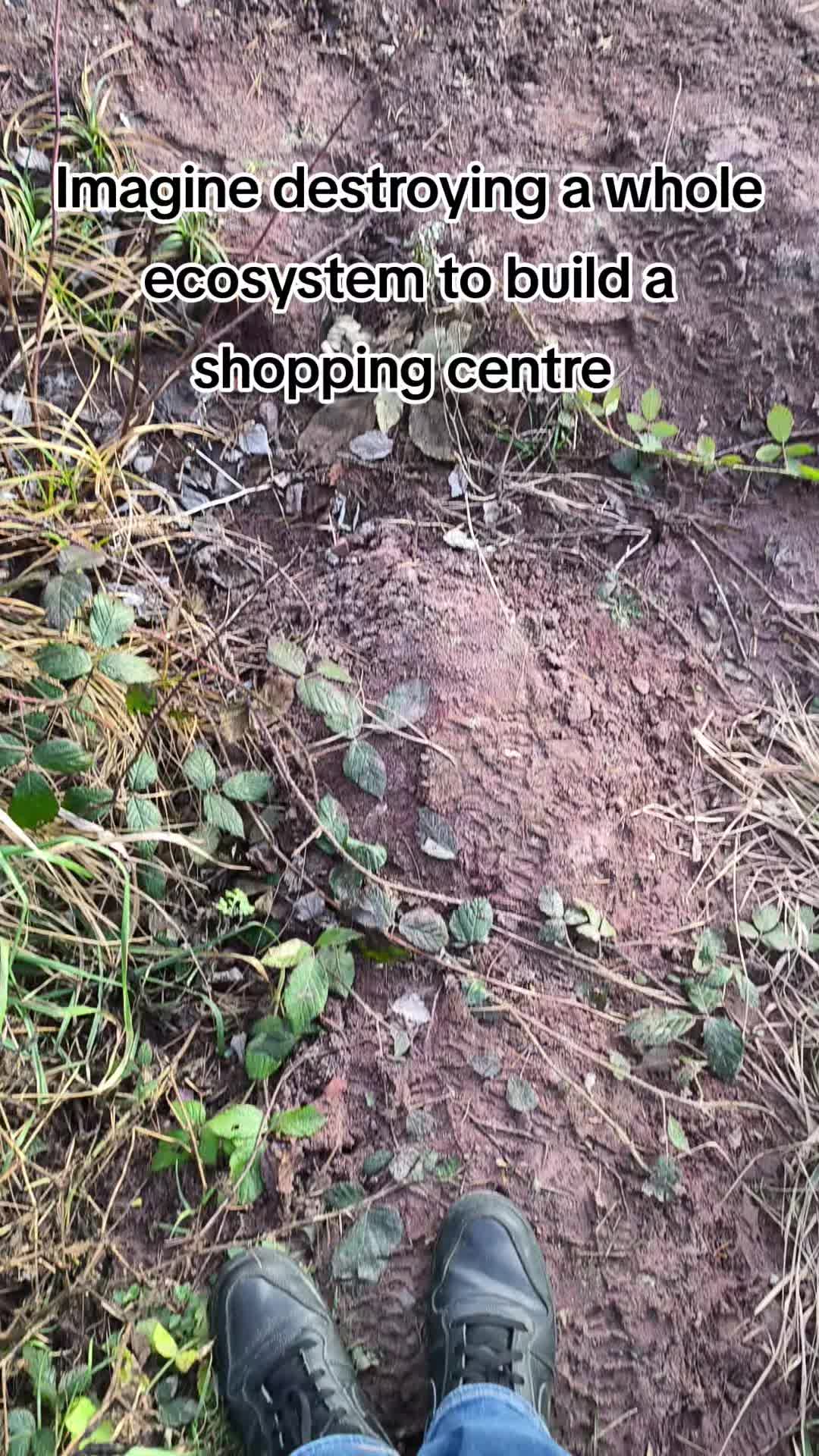 @nature.enjoyerᛉ