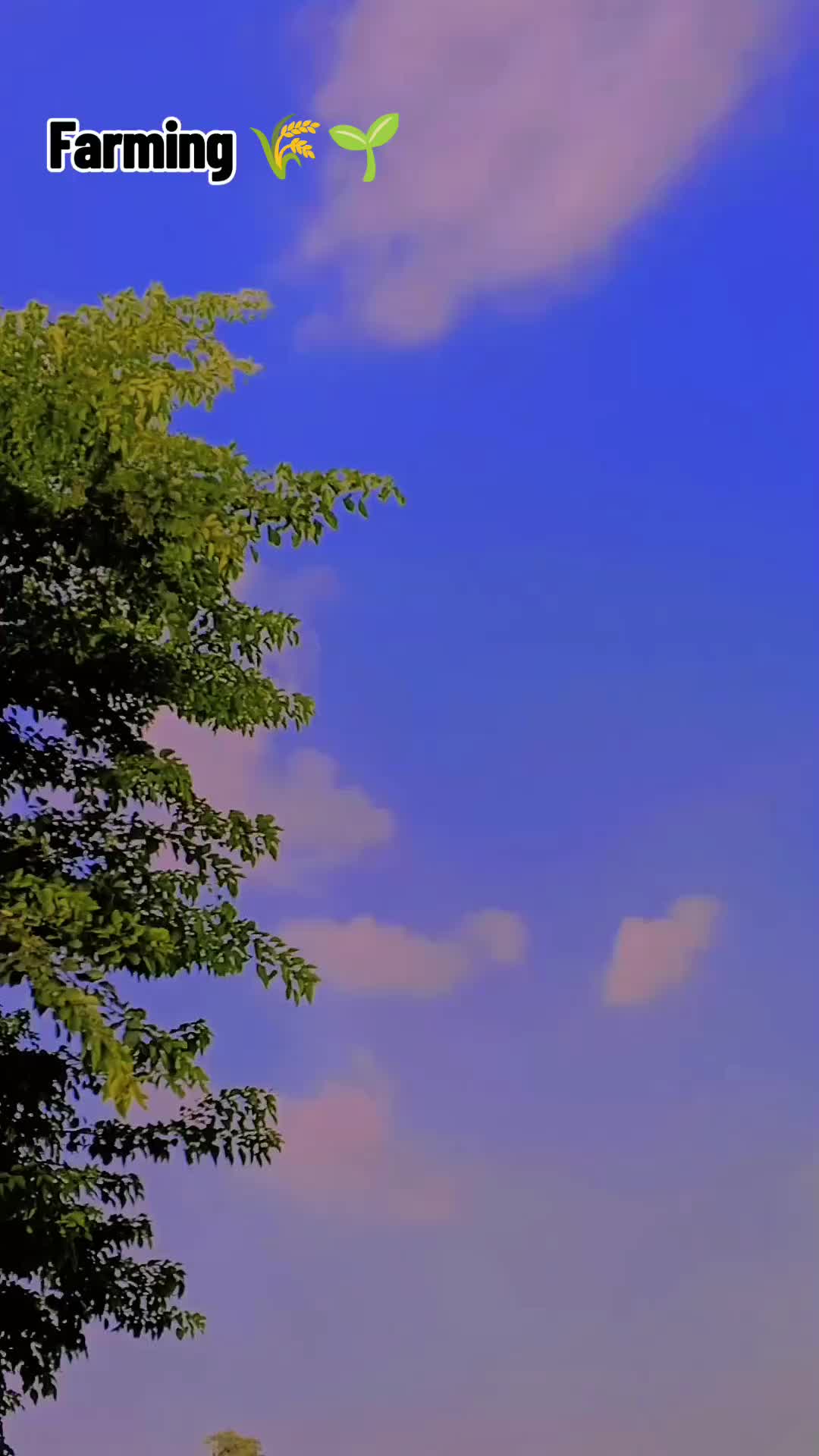 @ShᴀkeelܔAʀᴀɪn♡
