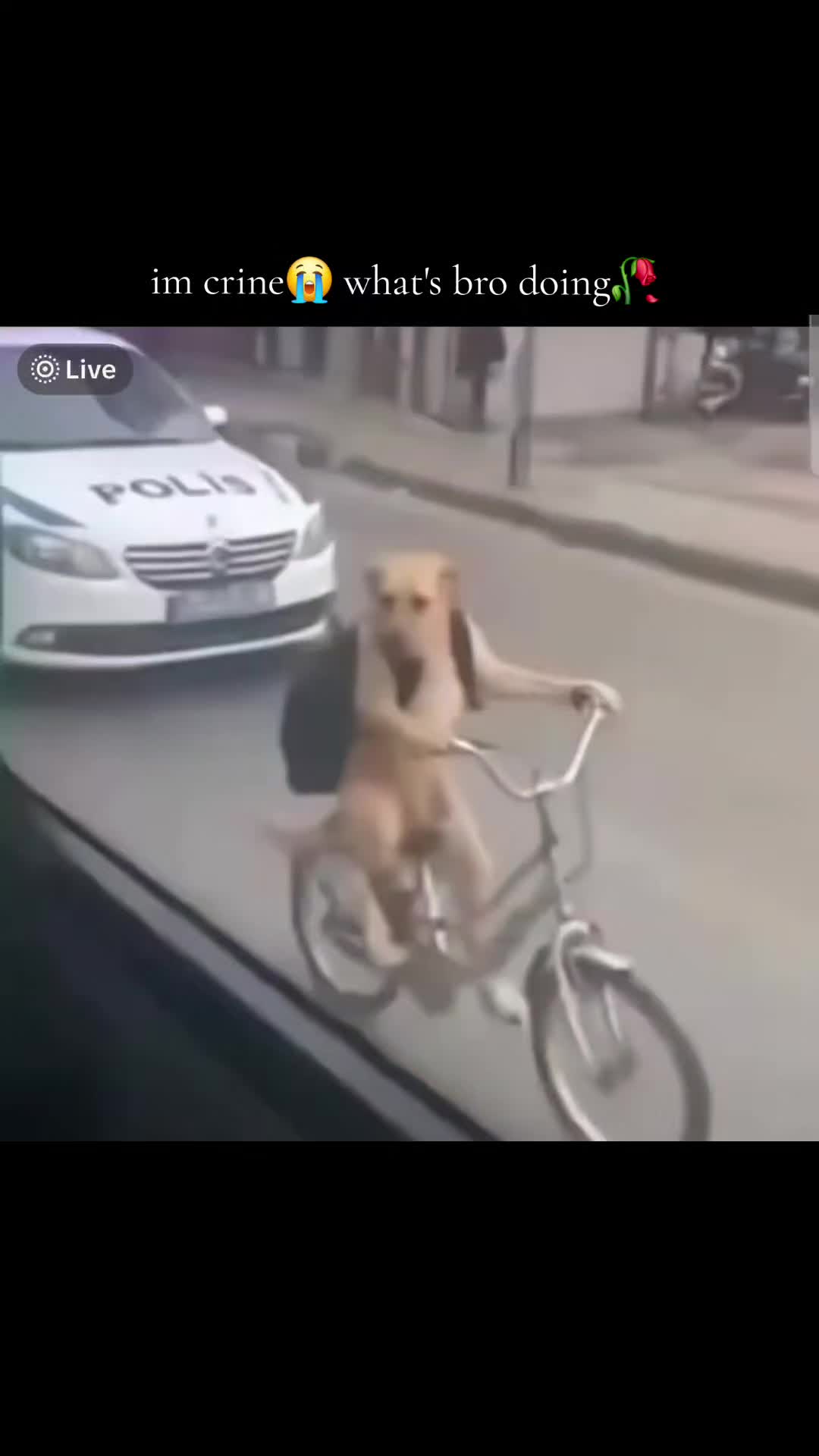 @LBC