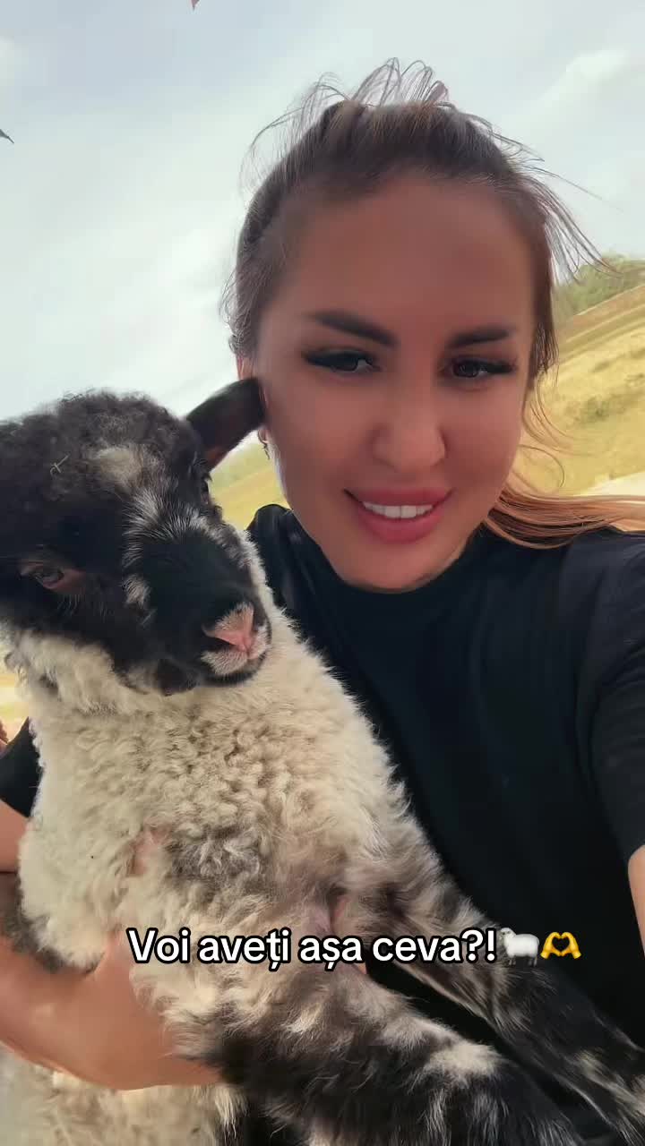 @Dana Czm
