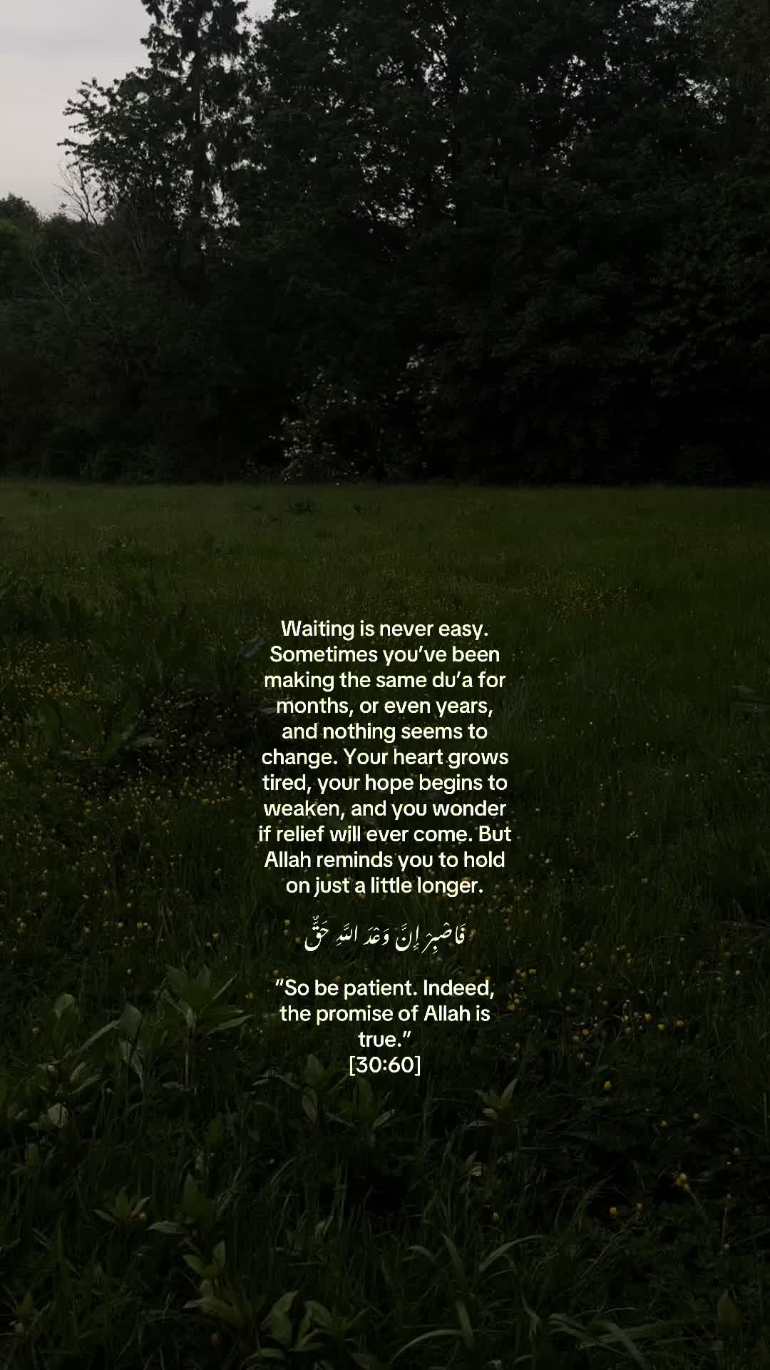 @No Doubt🕊️