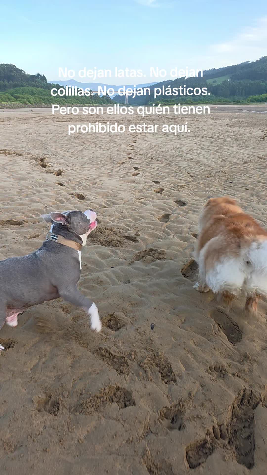 @Kenya y Daddy🐶