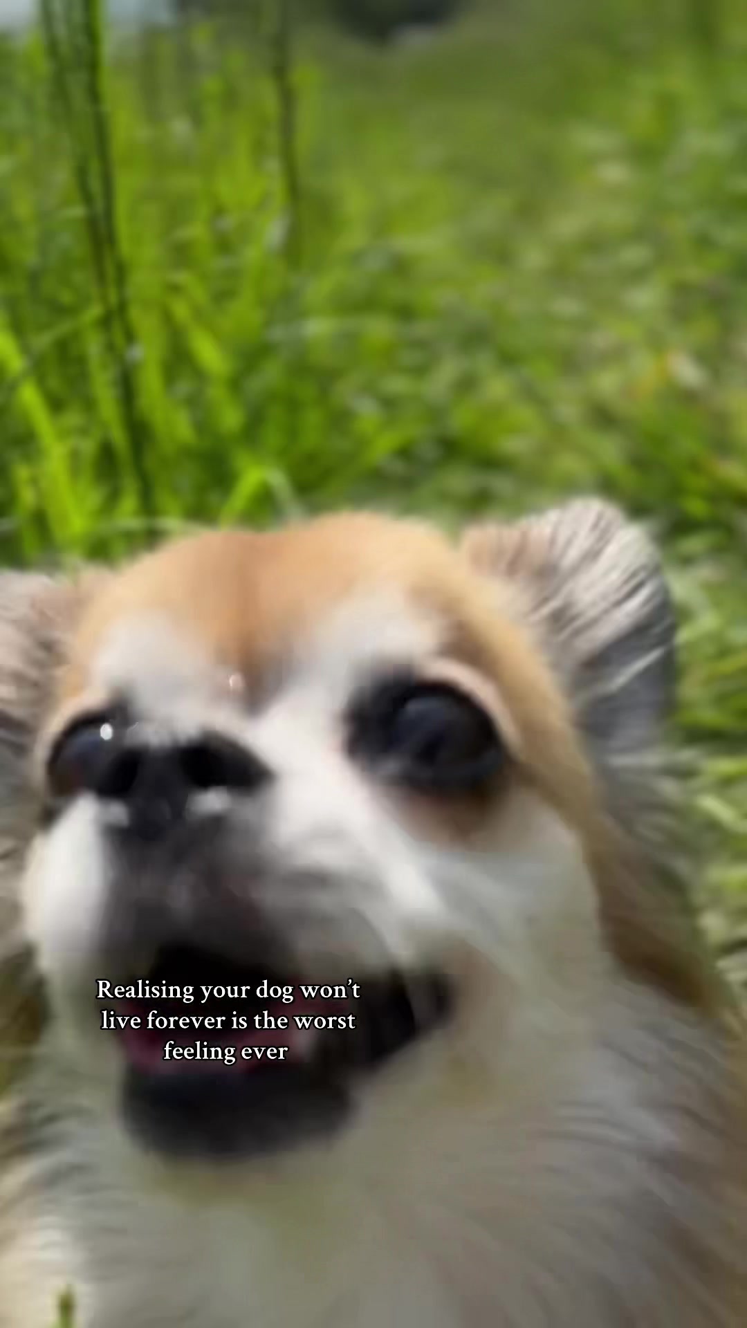 @Bailey & Kira