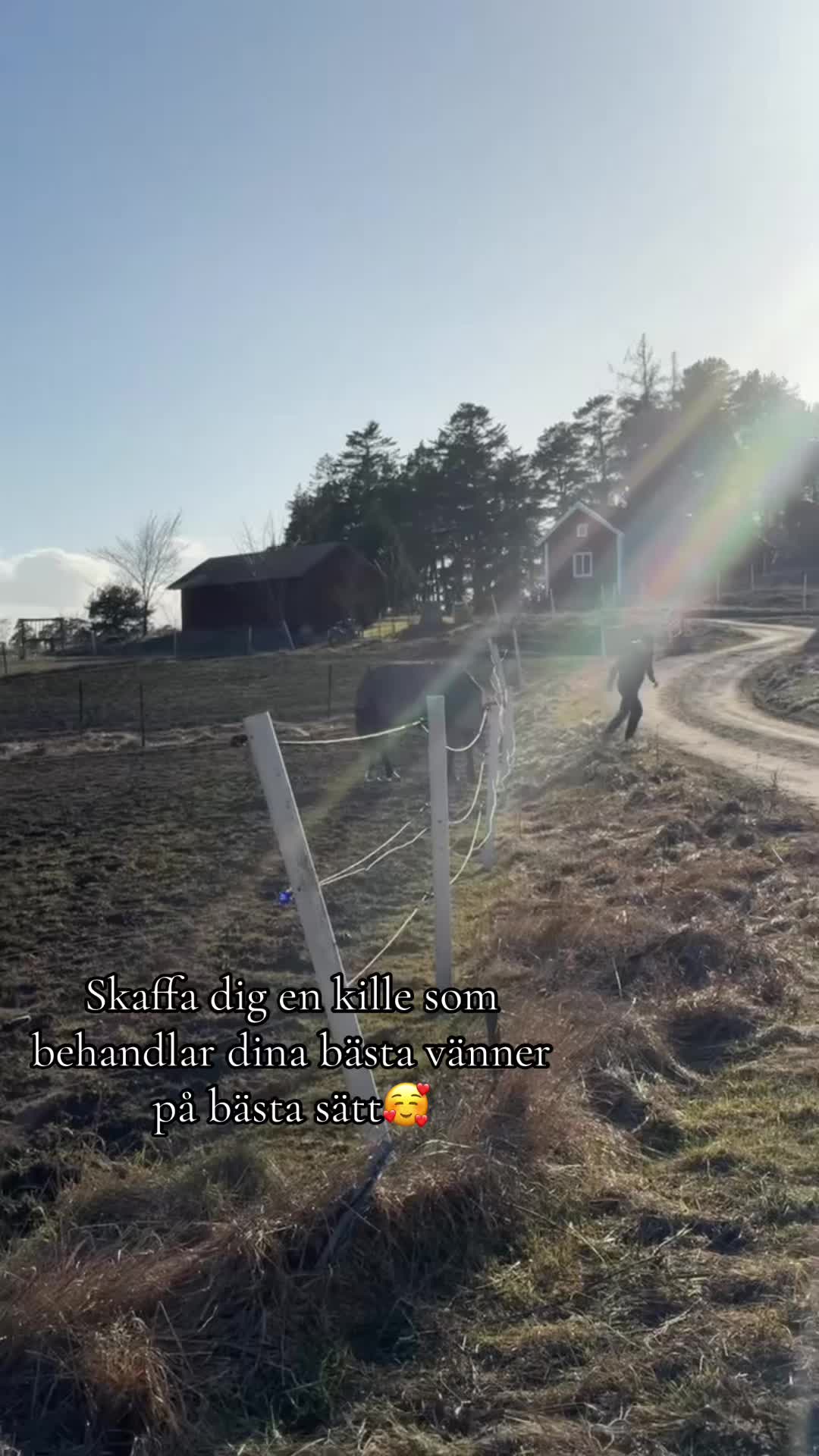 @✨Nova Franz&eacute;n Olsson ✨