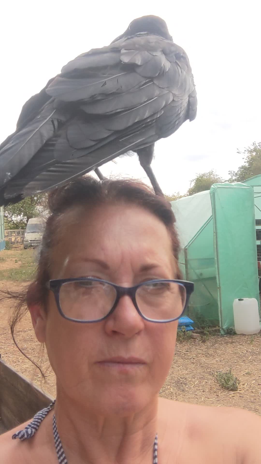 @farmgirl