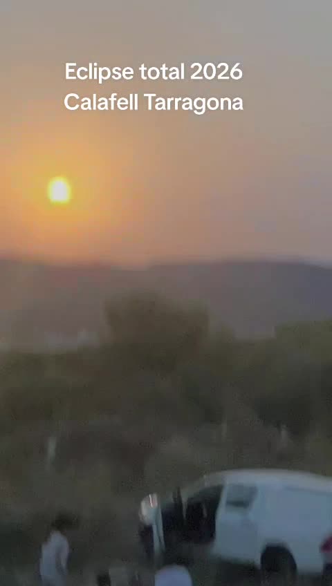 @gmgvegas