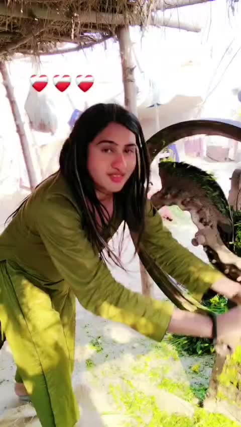 @madam Gurri 🤫🤫🤫
