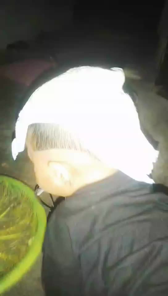 @shehzadi