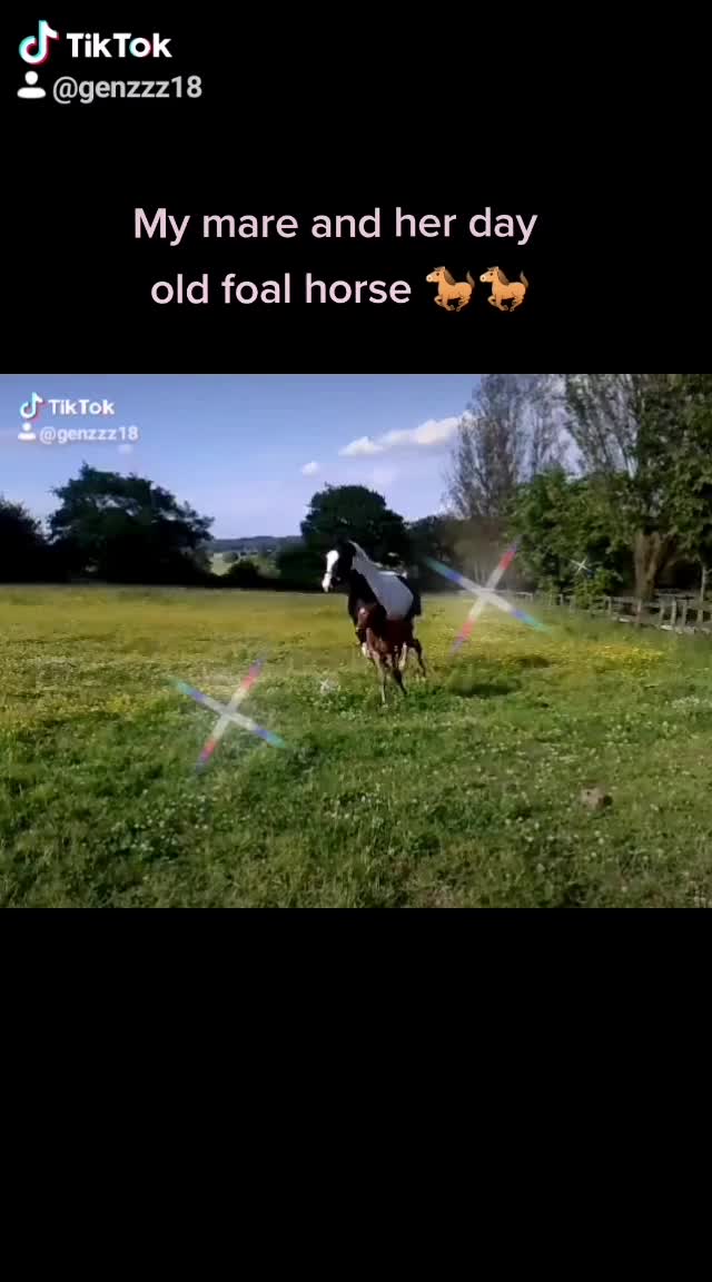 @Genzzz17