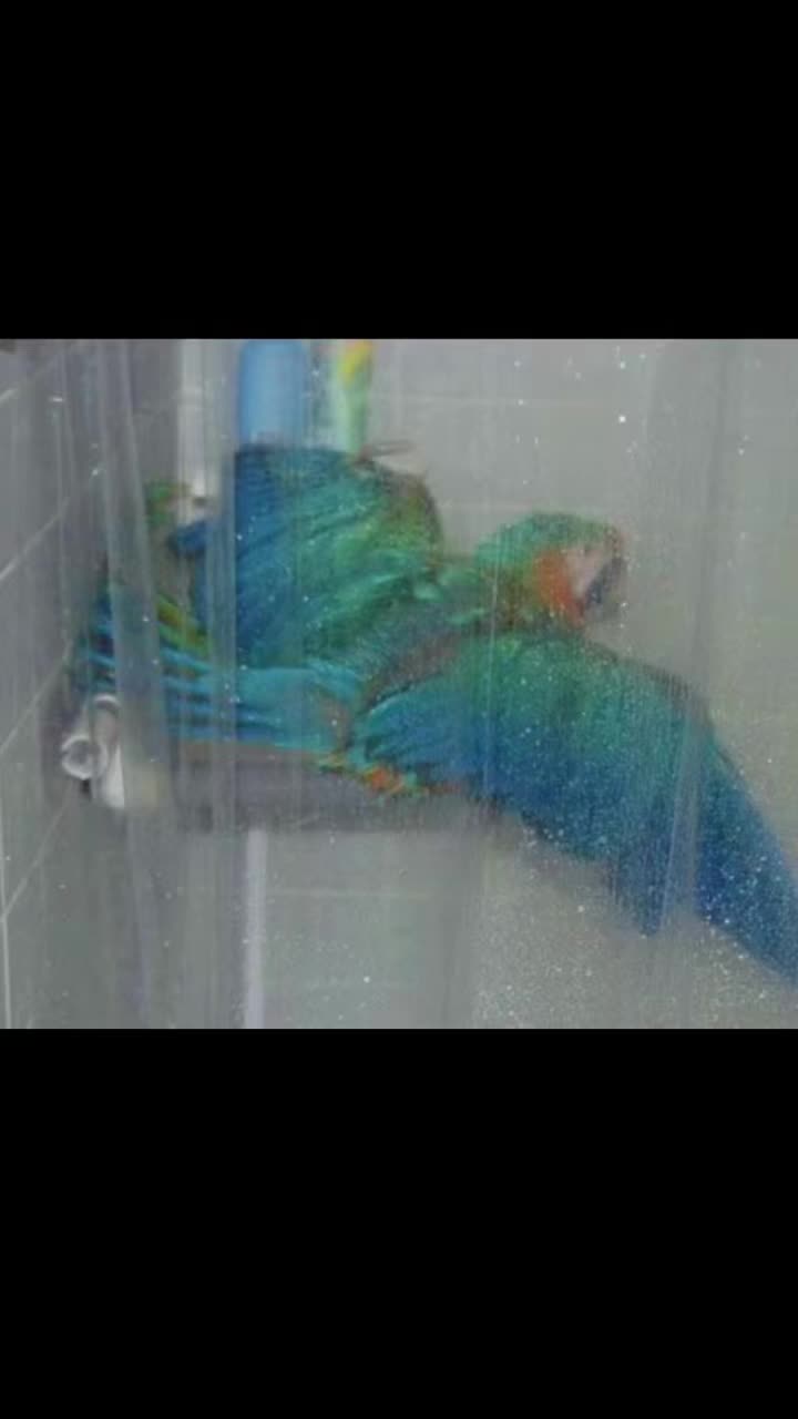 @️