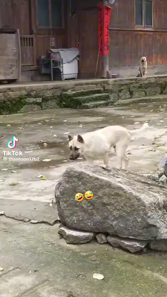 @Min
