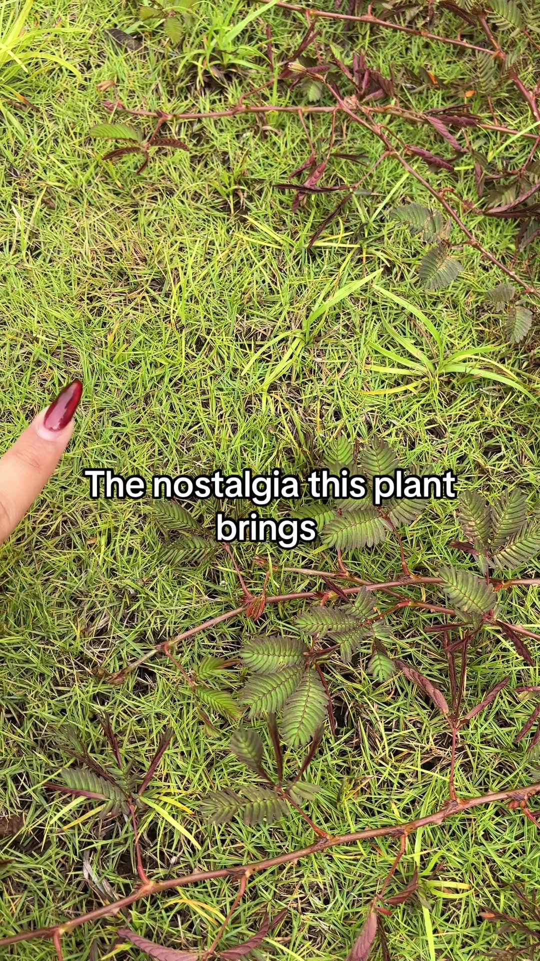 @𝐴𝑠𝑚𝑖
