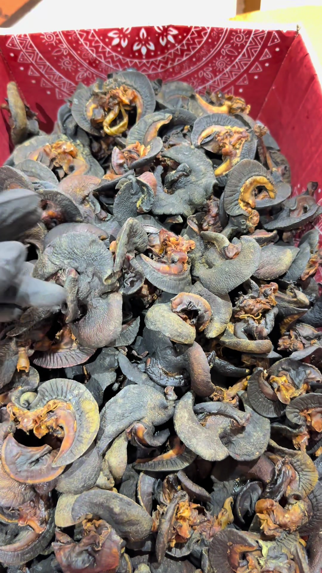 @Beeolafoods