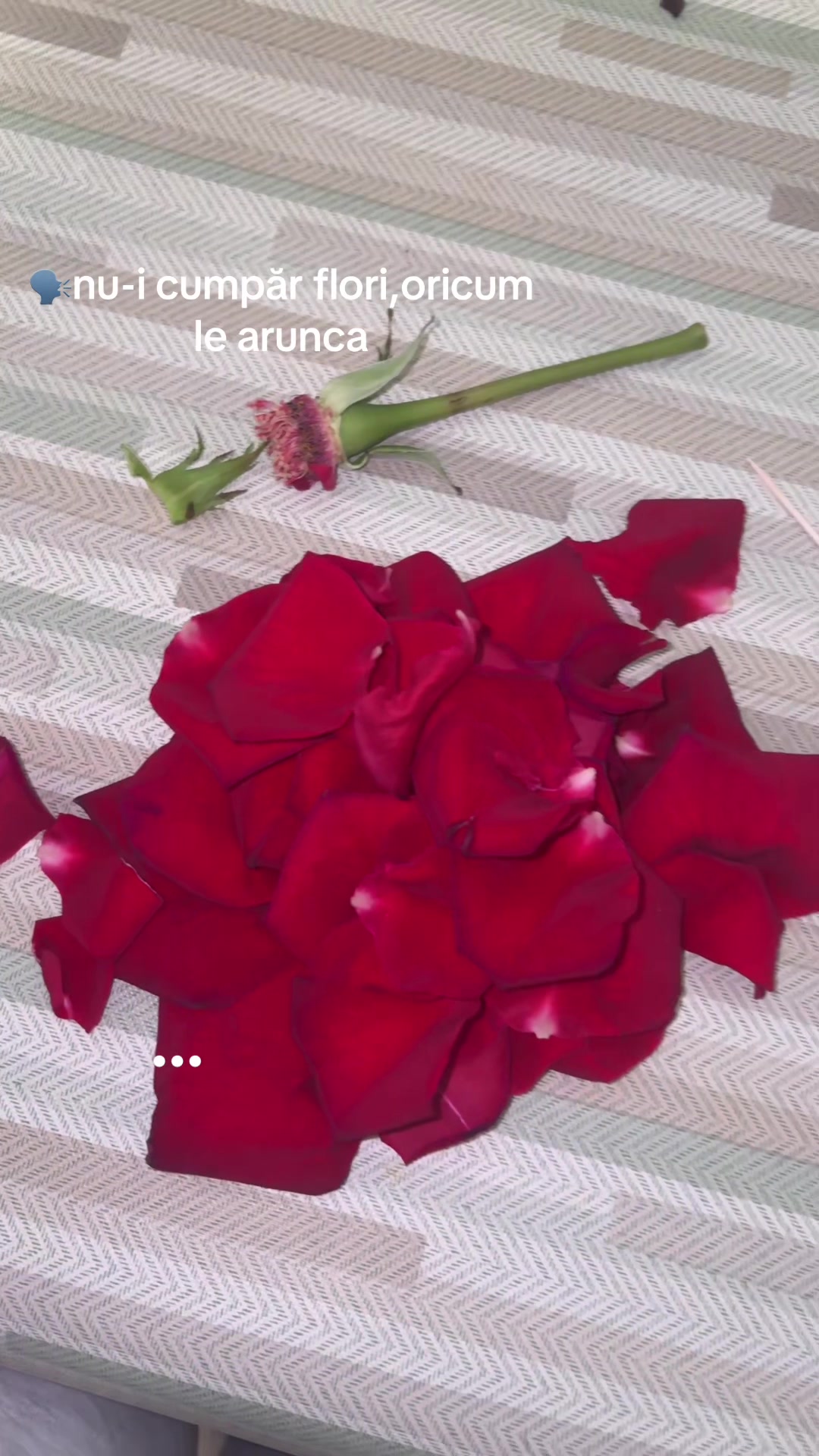 @Daniela❤️