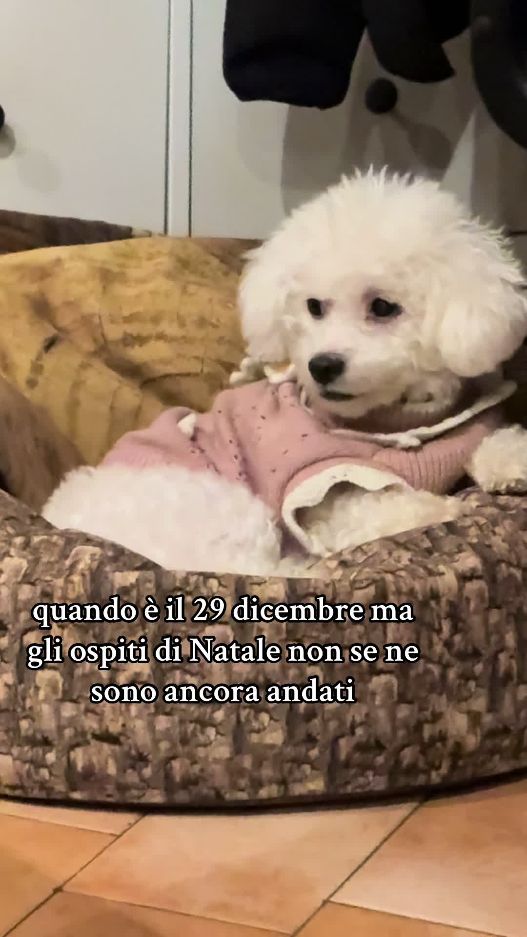 @Aledeg