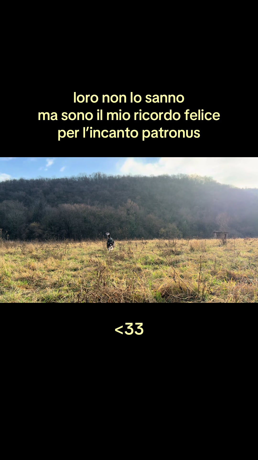 @benni nicolai