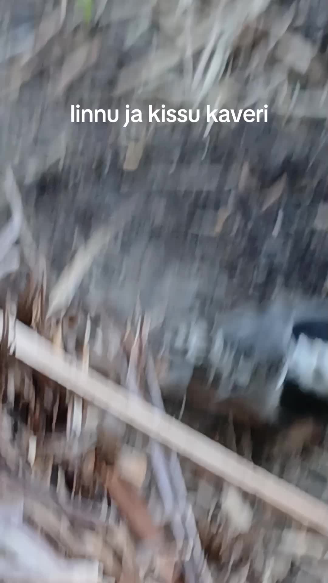 @r