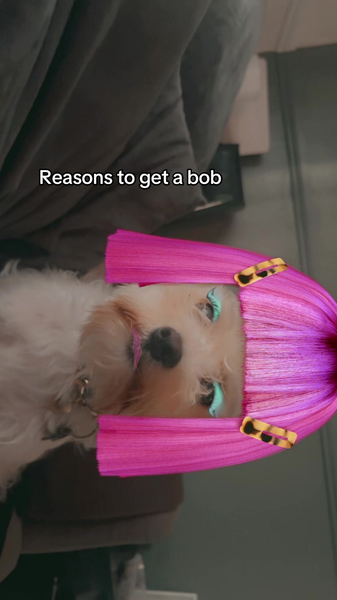 @*ੈ✩‧₊˚༺𝓔𝓵𝓵𝒂༻*ੈ✩‧₊˚