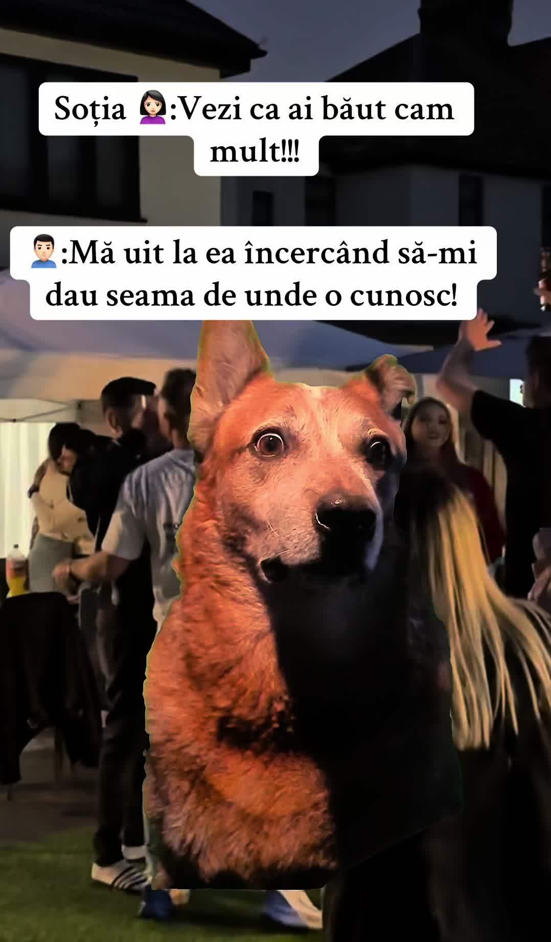 @🇹🇩O_V_I_D_I_U