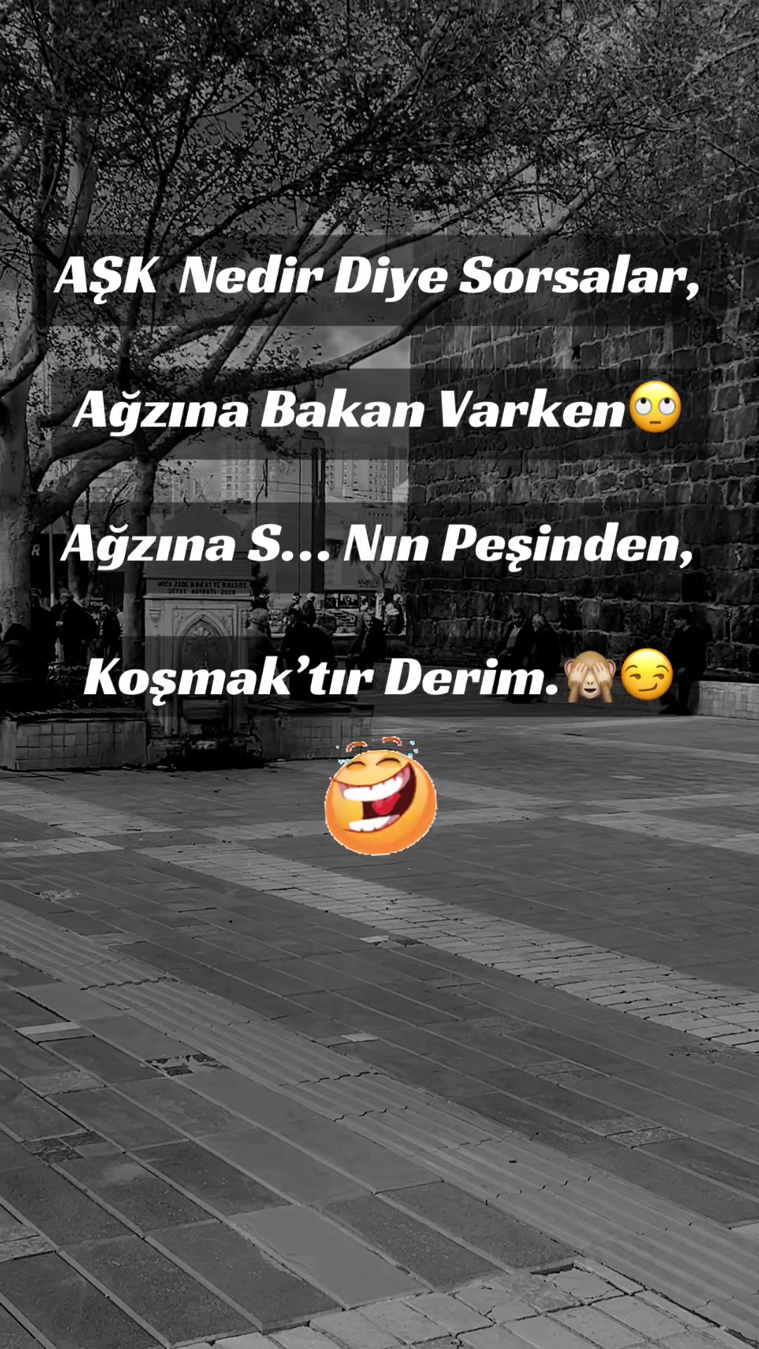 @✨🤍Ayliz_S🤍✨