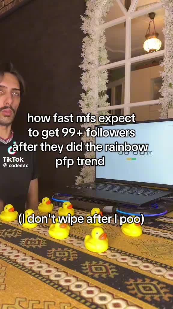 @FATCATTHE CAT